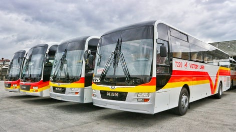 Victory Liner Buses