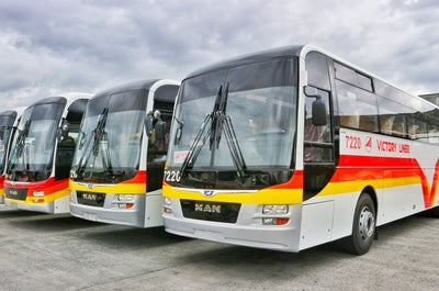 Victory Liner Buses