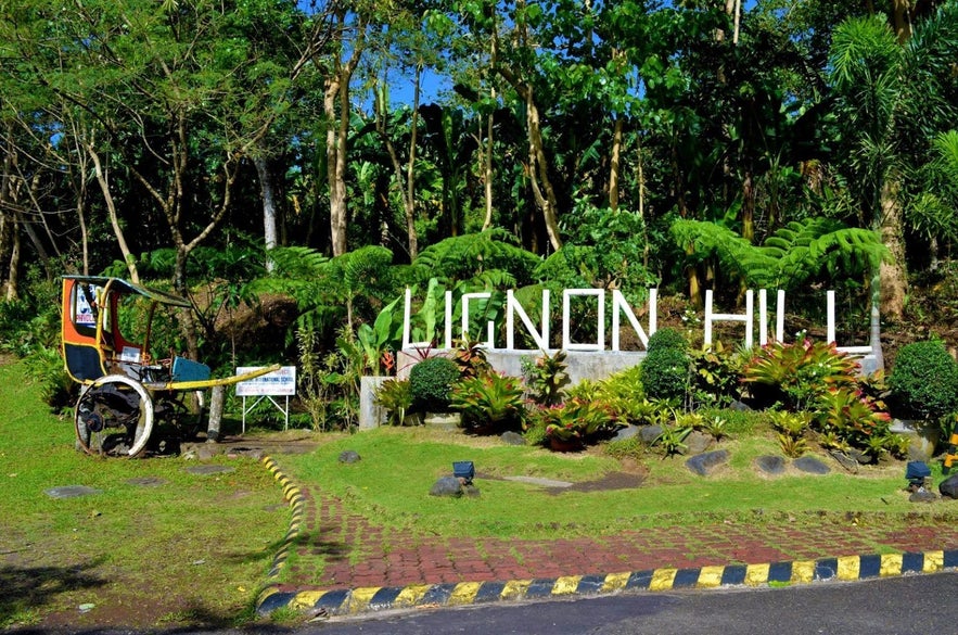 Lignon Hill Nature Park Lignon Hill Nature Park