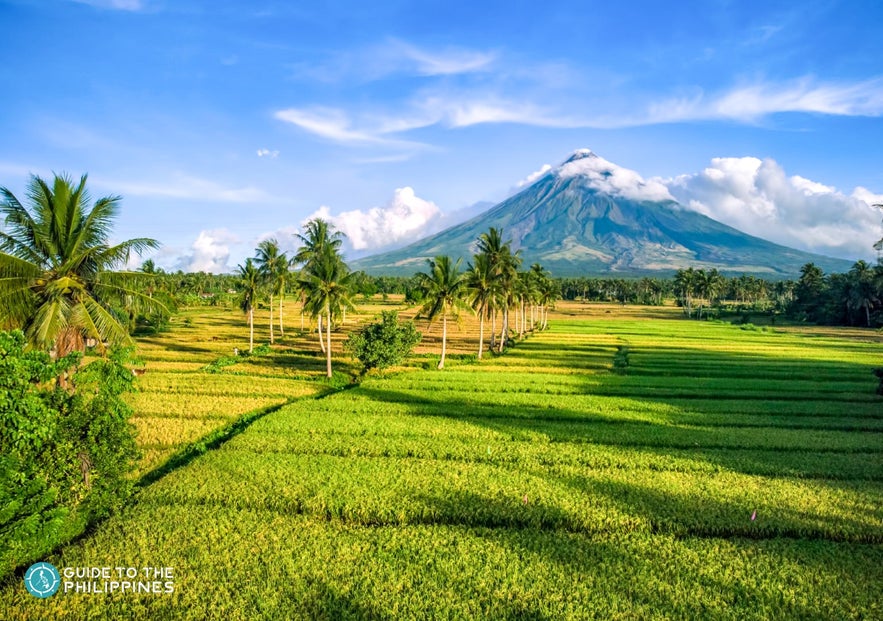 Mayon Volcano Mayon Volcano