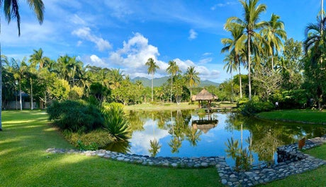 Lagoon at The Farm at San Benito, Lipa City, Batangas