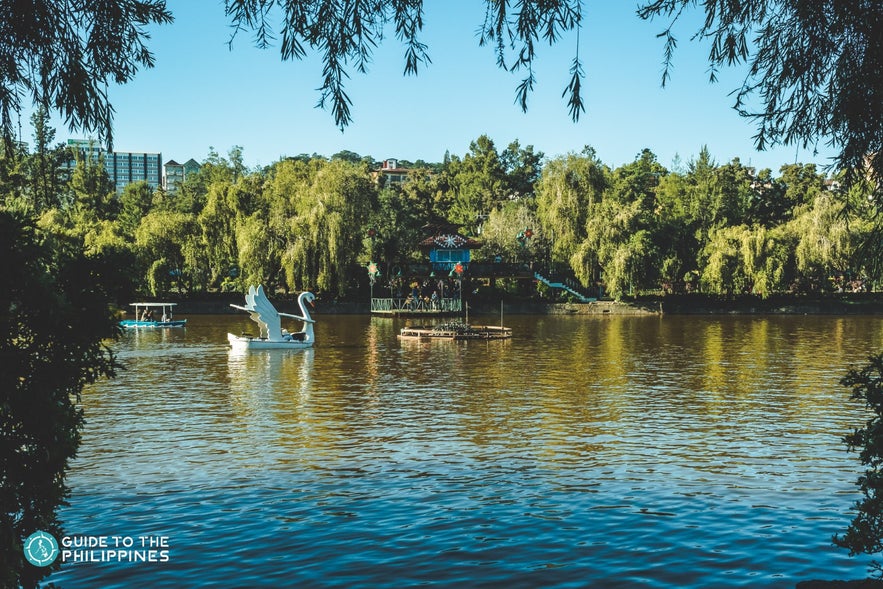 Swan boats in Burnham Park, Baguio Swan boats in Burnham Park, Baguio