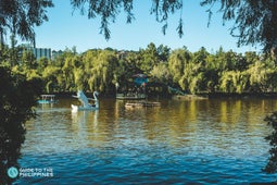 Swan boats in Burnham Park, Baguio