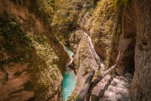 Embark on a thrilling canyoneering adventure at the multi-tiered Kawasan Falls in Cebu  Province.