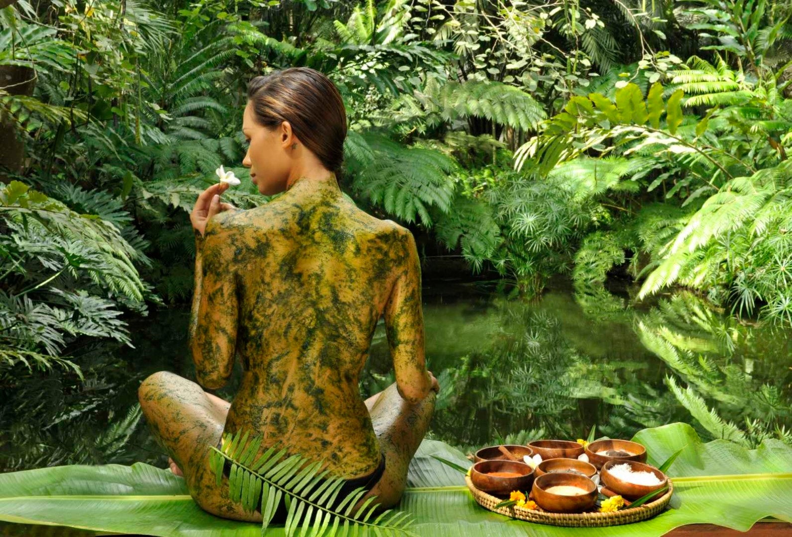 Chlorophyll body wrap