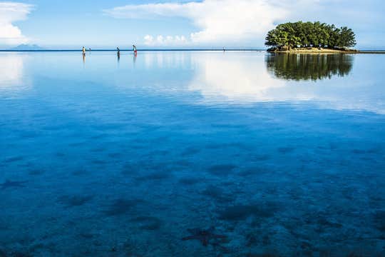 Private Dolphin and Turtle Watching Tour in Pamilacan Island in Bohol Province with Transfers