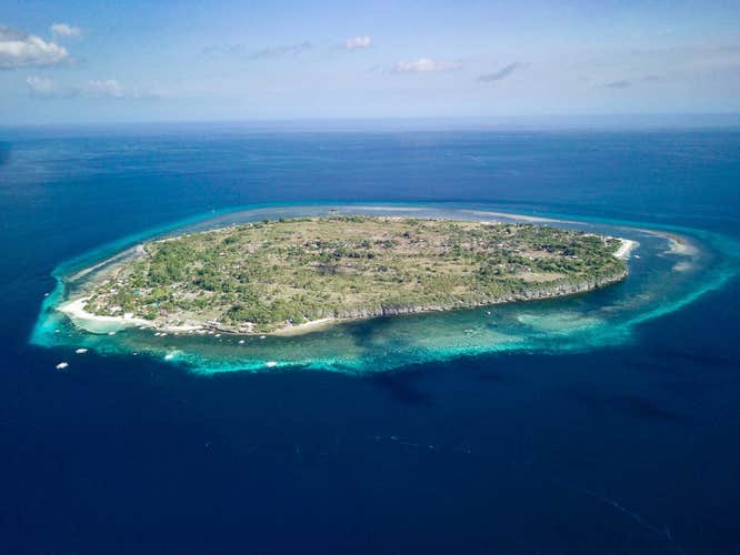 This tour to Pamilacan Island includes snorkeling at reefs teeming with marine life, which is a great option for cruise stops.
