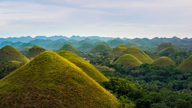 Bohol Chocolate Hills & Tarsier Private Tour with Lunch & Transfers
