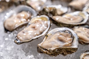 Taste fresh oysters and seafoods with this Cambuhat River cruise