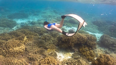 Experience the vibrant marine life while snorkeling around Virgin Island off the coast of Bantayan Island in Cebu Province.