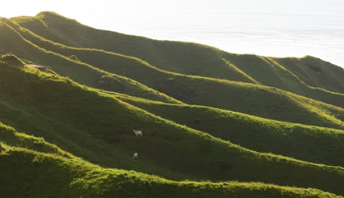 Tour around North Batanes with this day tour