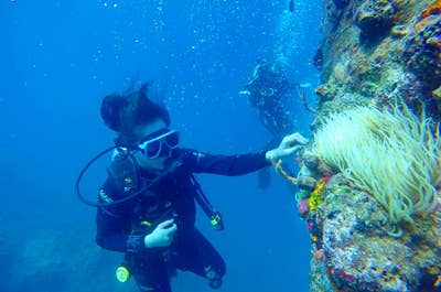Open Water Diving with Skylodge Resort Coron, Palawan