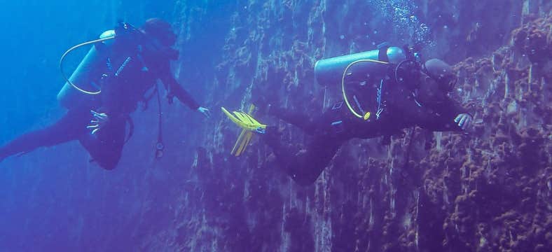 Stunning 5-Day Coron Palawan Diving Package at Skylodge Resort with Open Water Driver Course