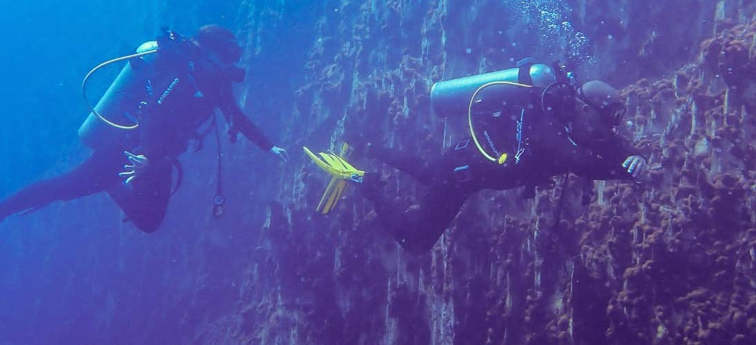 Open Water diving with Skylodge Resort Coron, Palawan
