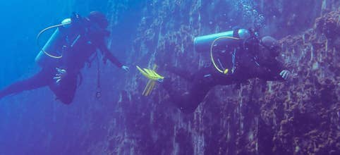 Stunning 5-Day Coron Palawan Diving Package at Skylodge Resort with Open Water Driver Course