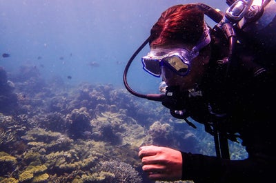 Open Water Diving with Skylodge Resort Dive Shop, Coron, Palawan