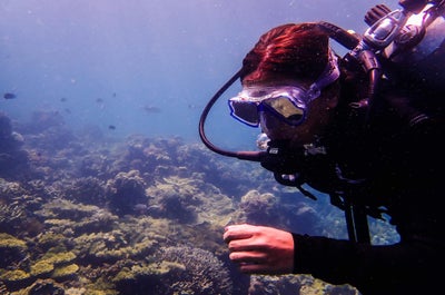 Open Water Diving with Skylodge Resort Dive Shop, Coron, Palawan