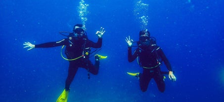 Open Water Diving with Skylodge Resort Dive Shop, Coron, Palawan