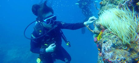 Open Water Diving with Skylodge Resort Dive Shop, Coron, Palawan