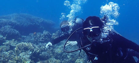 Diving at Dimanglet Reef & Siete Pecados with Skylodge Dive Shop, Coron, Palawan