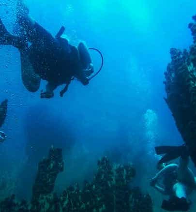 Coron Diving Courses and Packages
