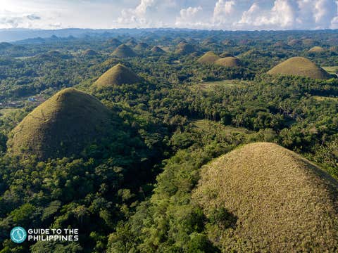 Private Tour to Bohol Island's Chocolate Hills, Tarsier Sanctuary & Bee Farm with River Boat Cruise