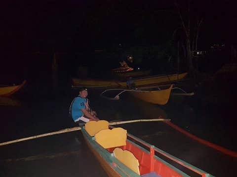 Puerto Princesa City Firefly Watching Tour in Palawan Island