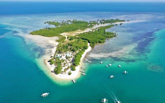 An aerial view of Cowrie Island showcasing white sand and lush greenery during this Honda Bay island hopping tour in Puerto Princesa City, which cruise passsengers can enjoy