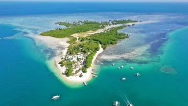 Cowrie Island in Puerto Princesa Honda Bay island hopping tour