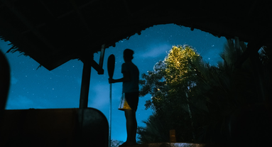 Experience the beauty of firefly watching on Bohol Island, where glowing fireflies illuminate the mangrove trees.