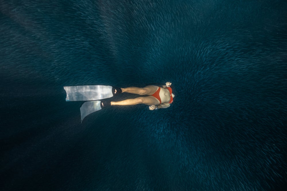 Swim with the Sardines at Napaling Bohol