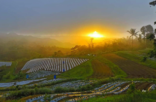 Bohol Strawberry Farm day tour