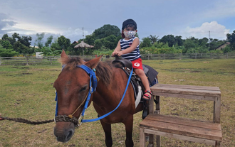 Ride horses in Bohol