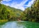 Loboc River in Bohol Island
