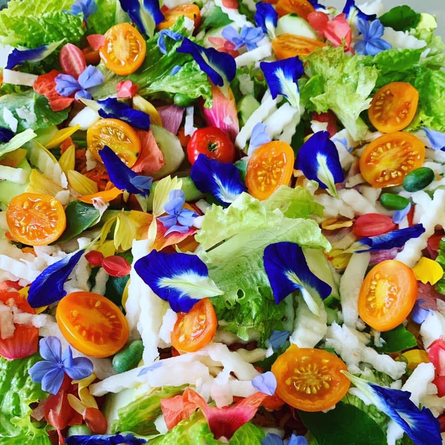 Our Farm Republic Our Farm Republic