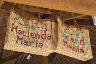 Be in awe at the heritage and eco-tourism destination in Buruanga, the Hacienda Maria