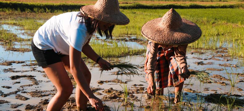 Private Tour to Motag Living Museum in Aklan Province near Boracay Island with Snacks & Transfers