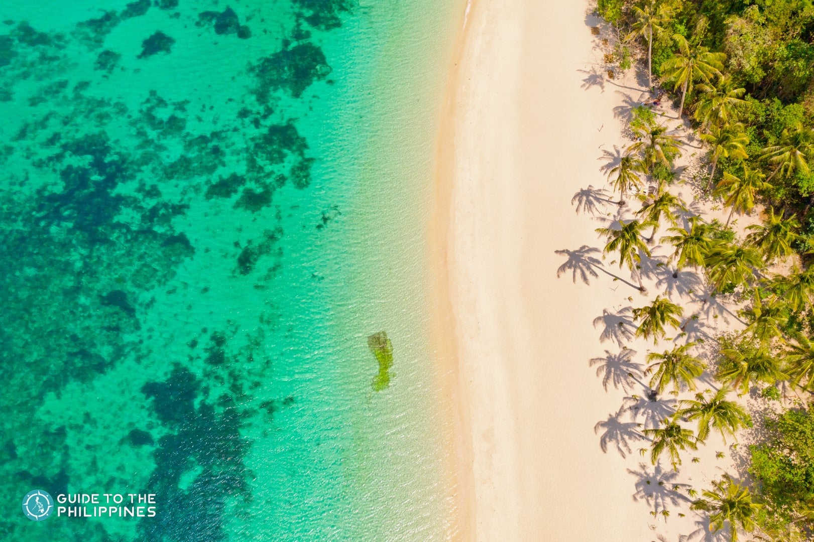 TopBanner_Aerial view of Puka Beach.jpg