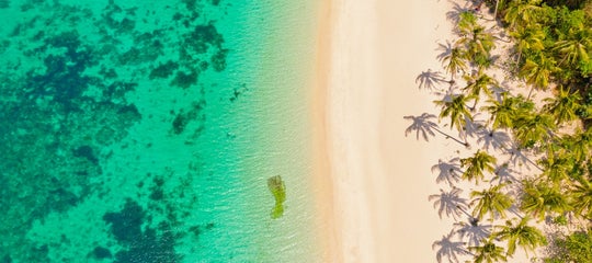 TopBanner_Aerial view of Puka Beach.jpg