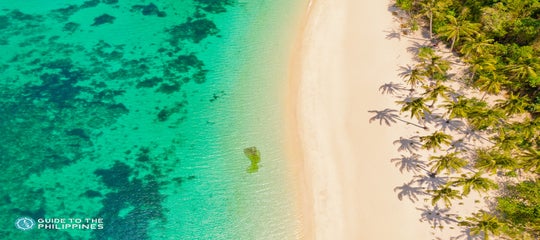 TopBanner_Aerial view of Puka Beach.jpg