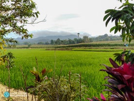 Enjoy a farm tour in Iloilo