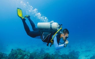 Bohol Panglao Three-Day PADI Open Water Course with Certification, Snacks, Drinks & Pick-up
