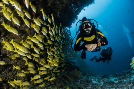 Bohol 2-Day PADI Advanced Open Water Course with Snacks & Drinks