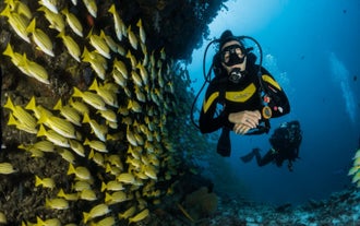 Bohol PanglaoPADI Rescue Diver Course with Certification, Snacks, Drinks & Pick-up