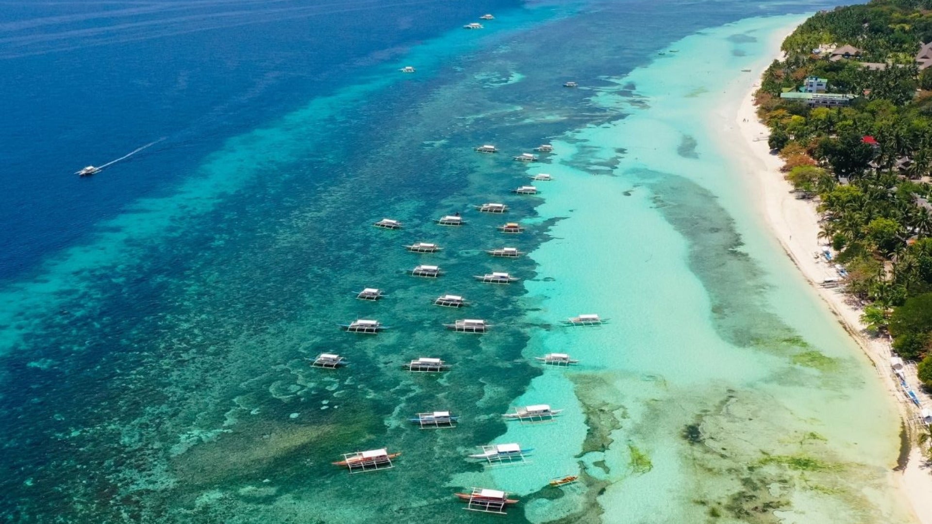 Bohol Panglao Three-Day PADI Rescue Diver Course