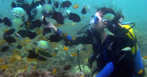 Island hop and snorkel at Samal Mariculture Park Davao