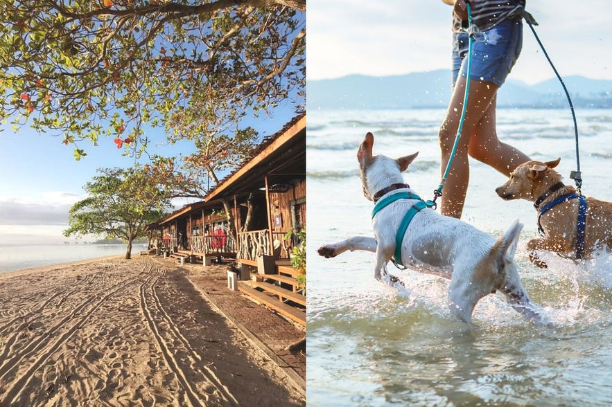 Crusoe Cabins and pets Crusoe Cabins and pets