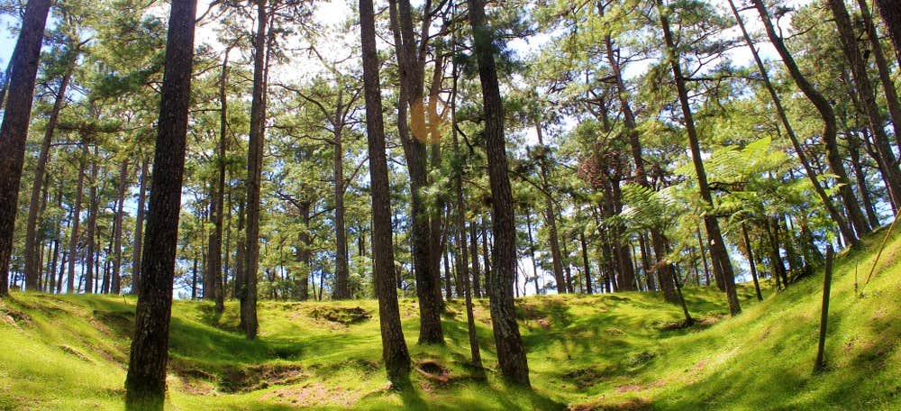 This 3-day, 2-night Baguio City tour package includes a stop at Camp John Hay, known for its pine-lined paths.