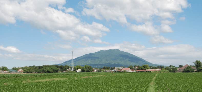 Private Transfer Between Clark International Airport and Any Hotel in the Municipality of Guagua
