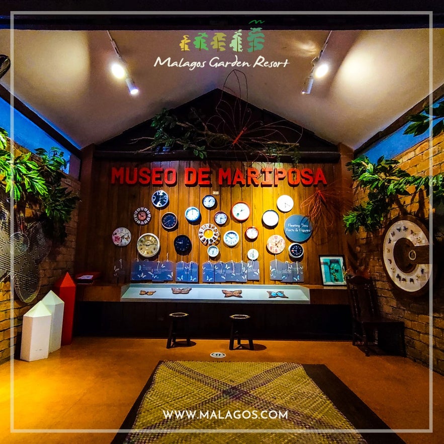 Museo de Mariposa Museo de Mariposa